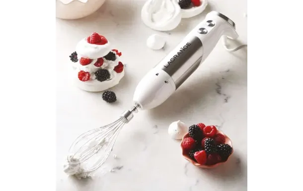 LAGRANGE MIXEUR PRO  619013